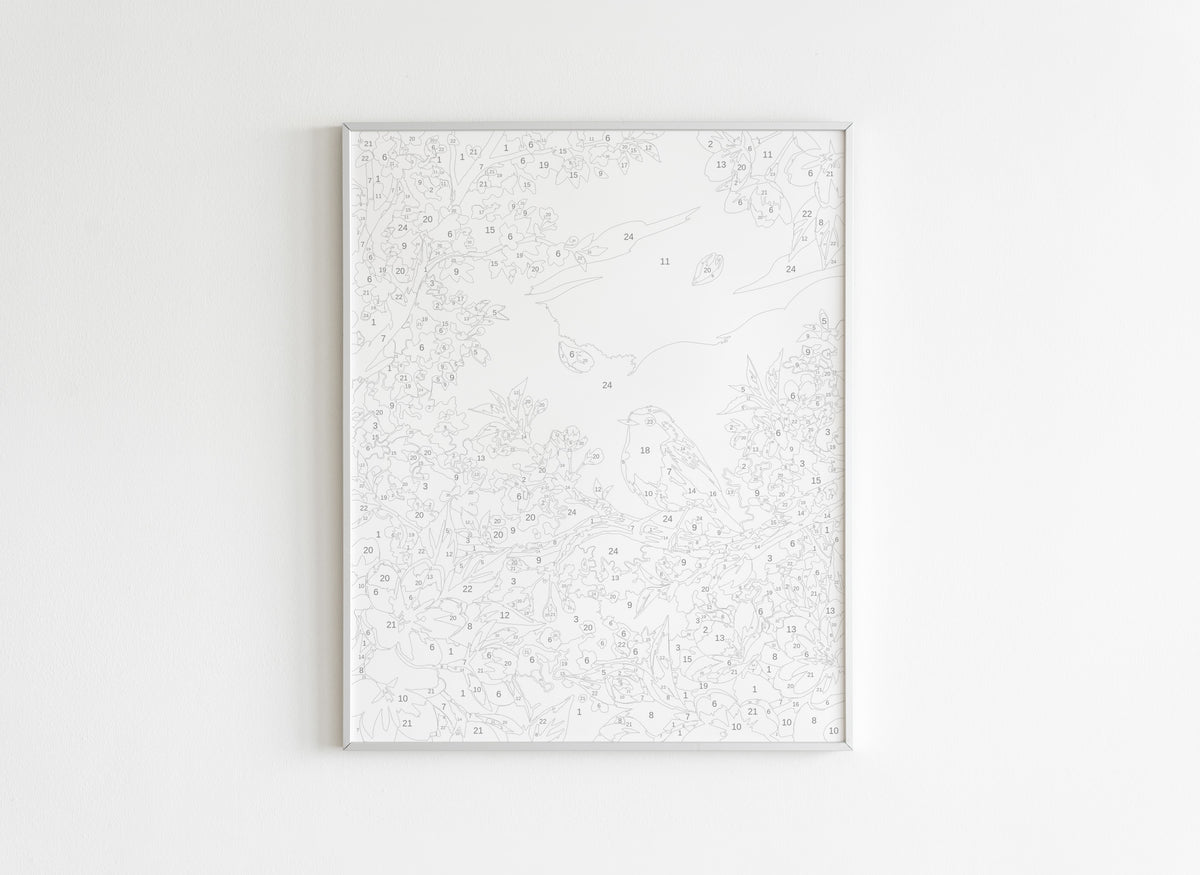 Peinture par Numéros Animaux - Rouge Gorge Fleurs de Cerisier - Avant