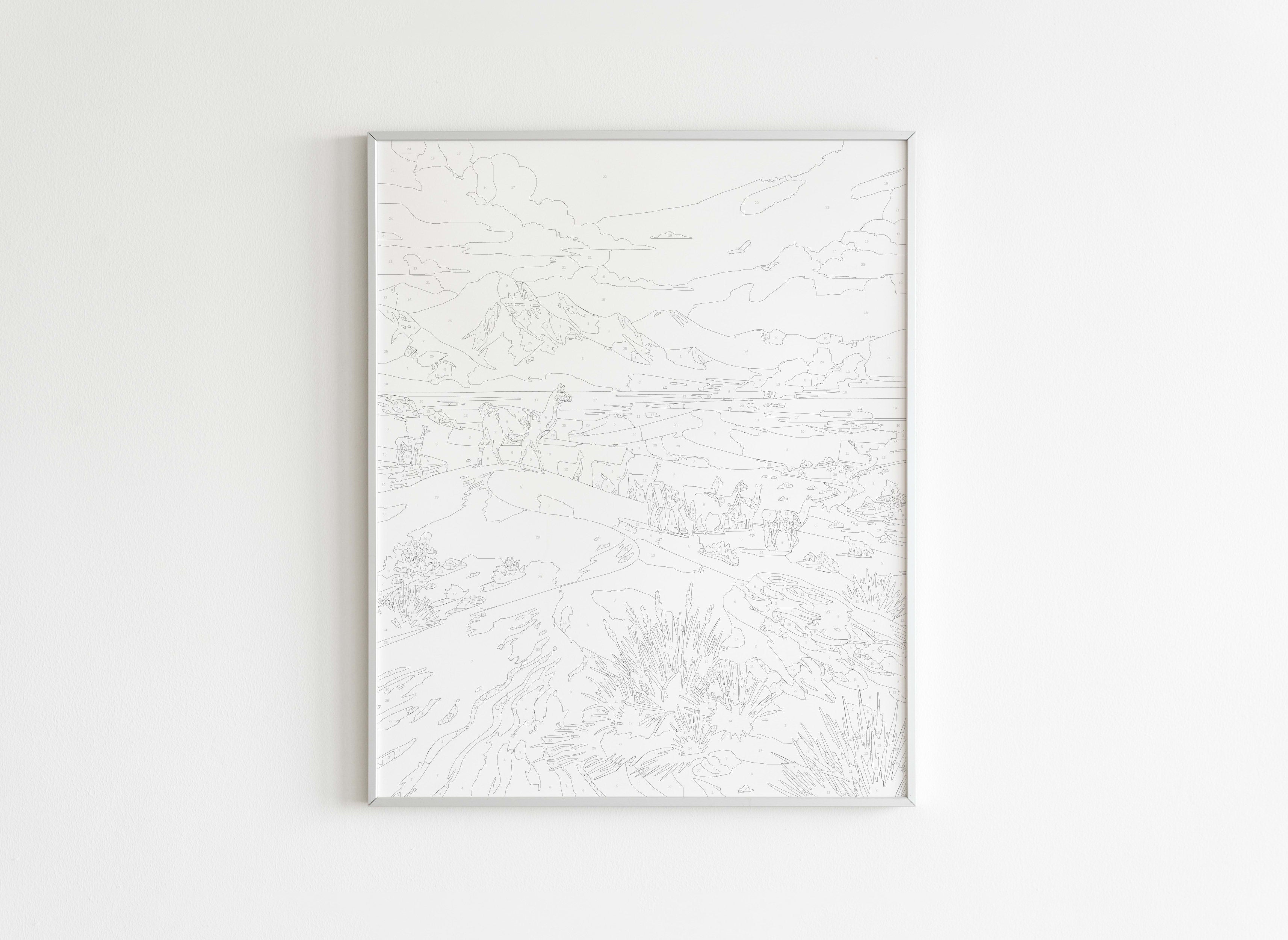 Peinture par Numéros Nature - Désert Rose Llamas - Avant