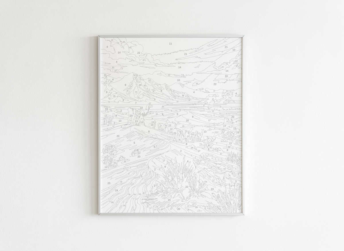 Peinture par Numéros Nature - Désert Rose Llamas - Avant