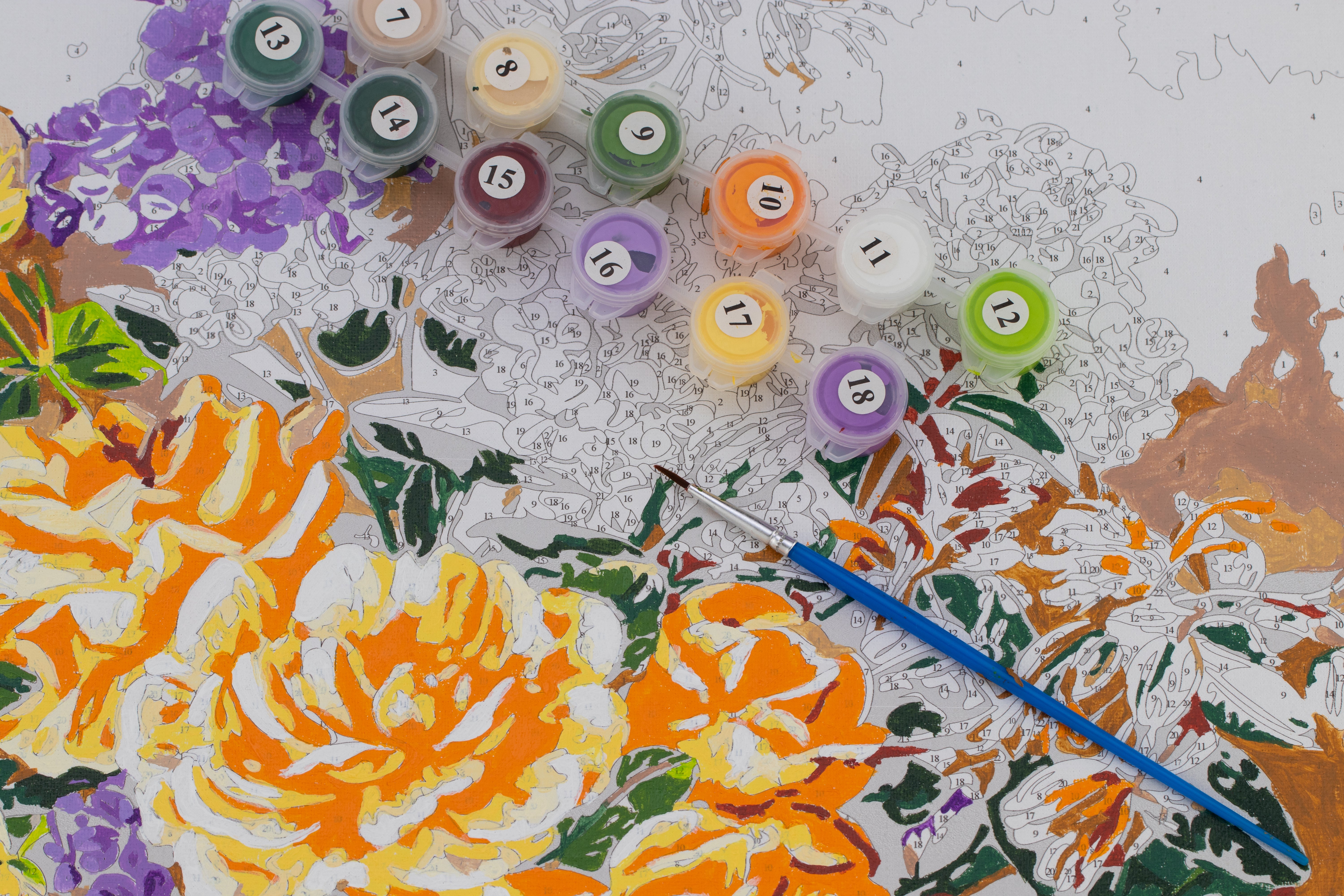 Kit peinture par numéros débutant posé sur une table — pinceaux, pots de peinture acrylique et toile numérotée prêts à l'emploi