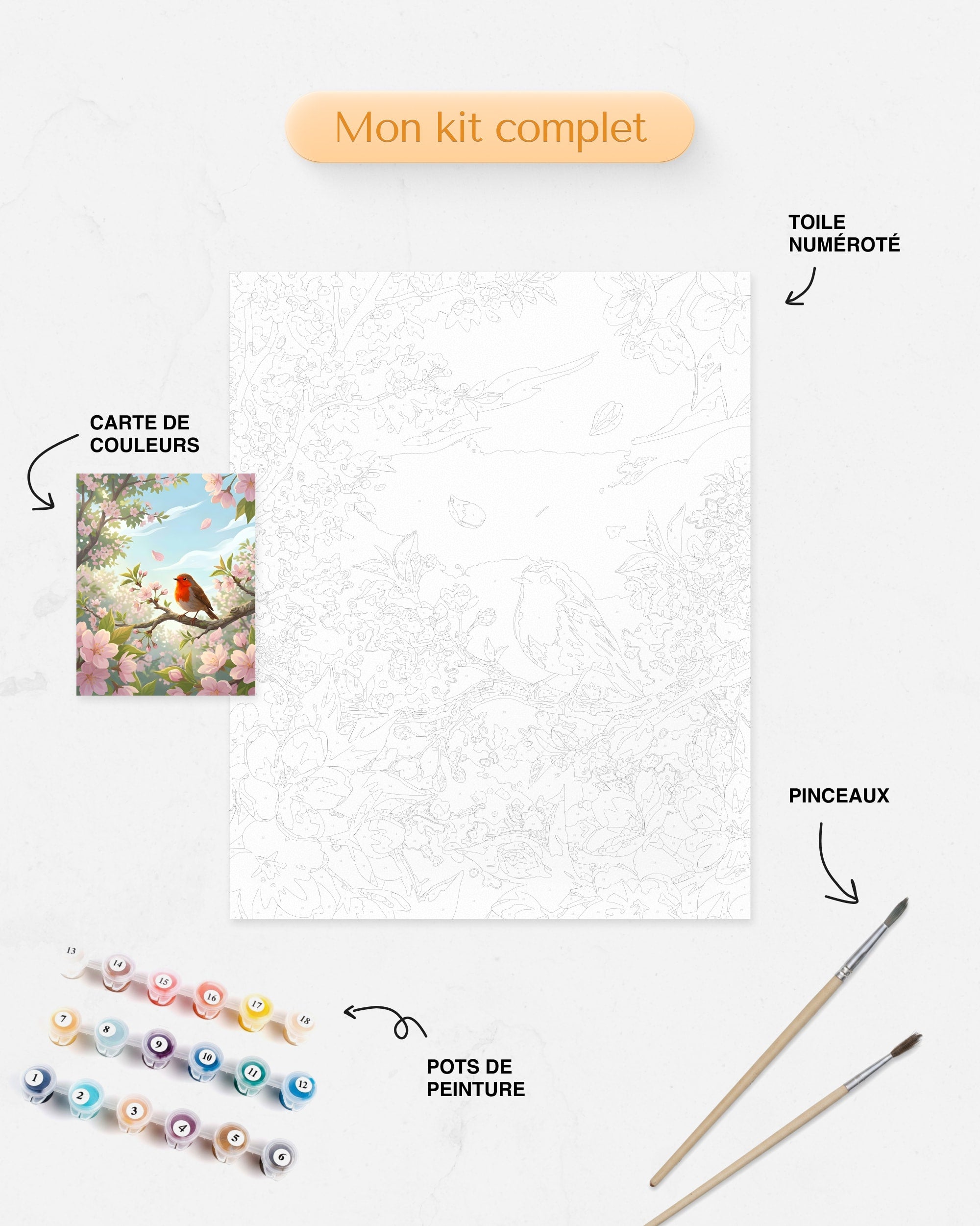 Détails du Kit complet de Peinture par Numéros Rouge Gorge Fleurs de Cerisier
