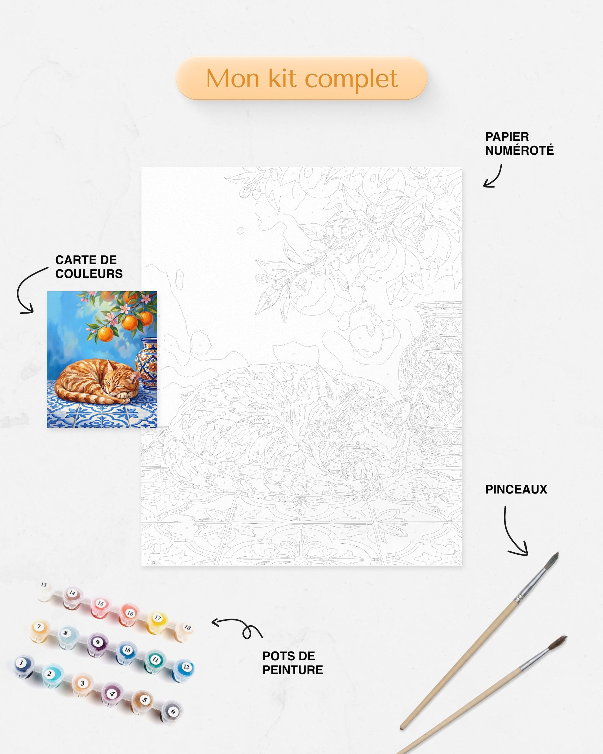 Kit Peinture par Numéros Animaux - Chat Dormant Méditerranéen