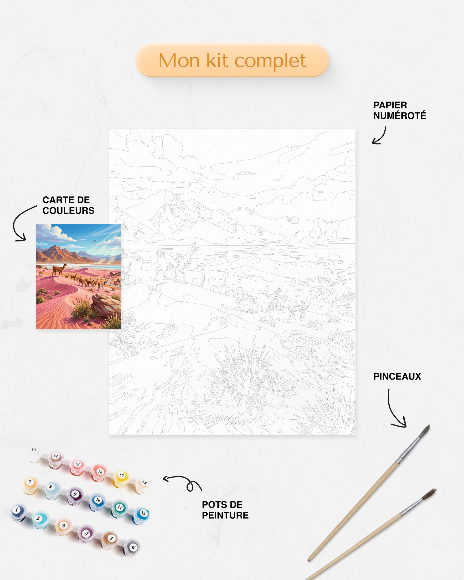 Kit Peinture par Numéros Nature - Désert Rose Llamas