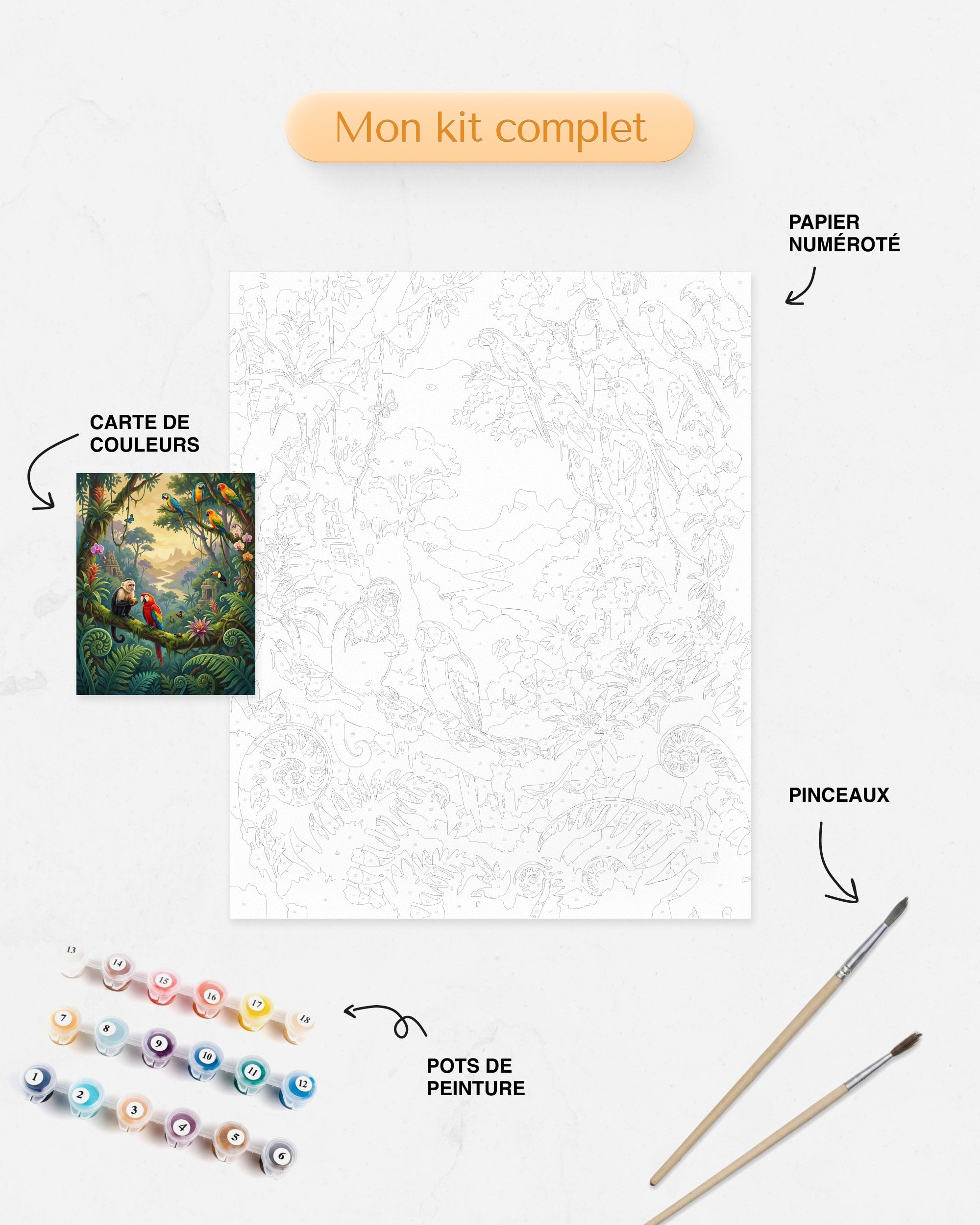 Kit Peinture par Numéros Nature - Jungle Animaux Exotiques