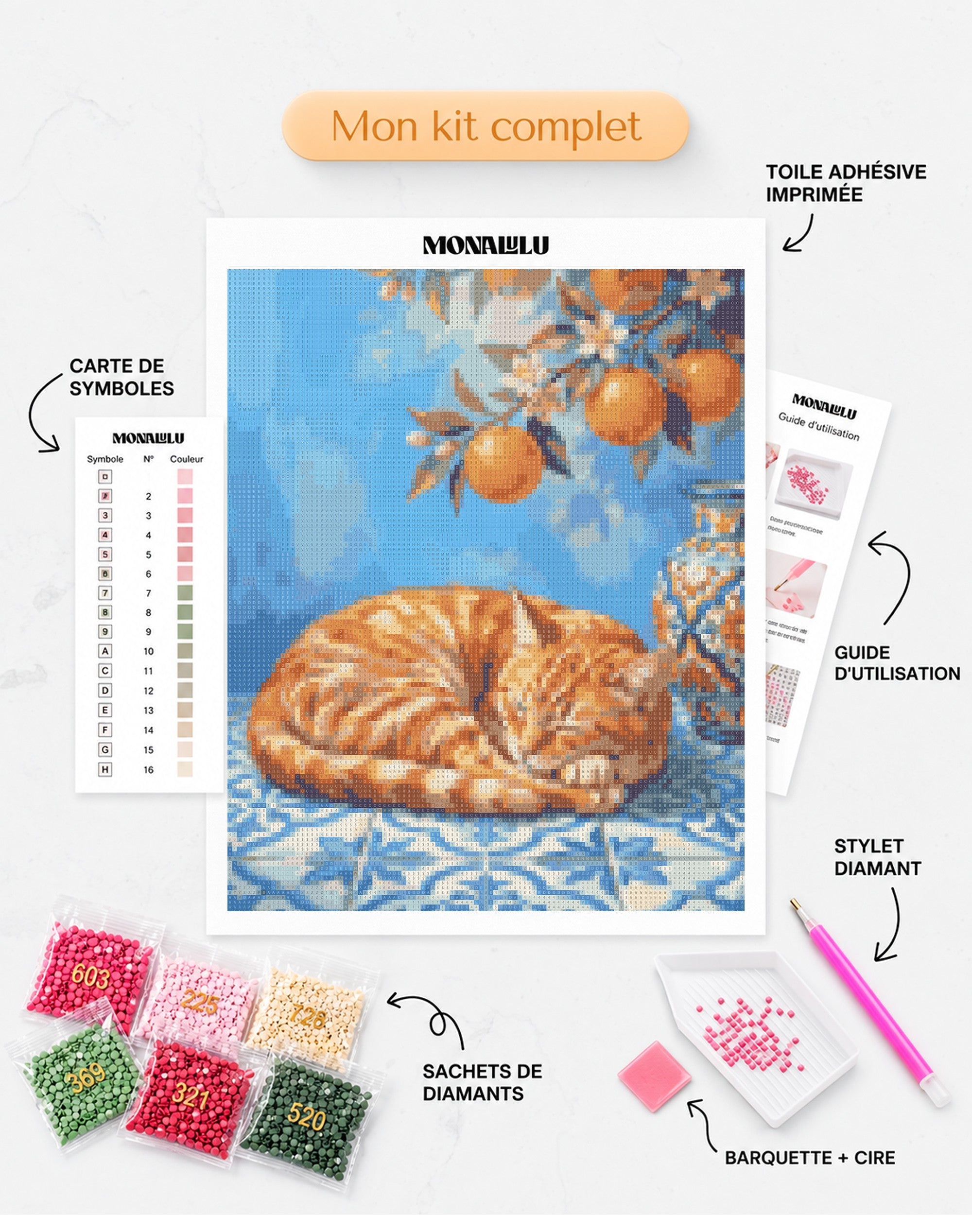 Détails du Kit complet de Diamond Painting - Chat Roux aux Oranges