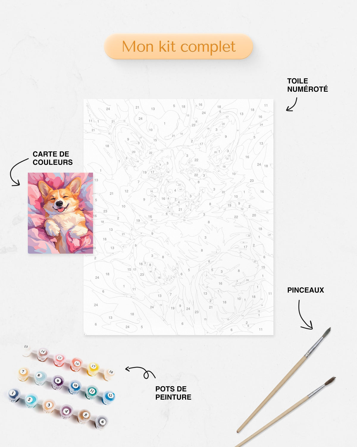 Détails du Kit complet de Peinture par Numéros - Corgi en Cocon